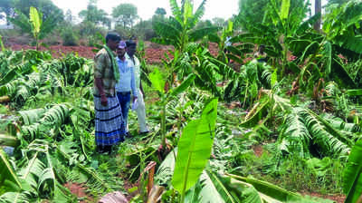 ಬಿರುಗಾಳಿ ಮಳೆಗೆ ಅಪಾರ ಹಾನಿ