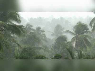 കനത്ത മഴ; പത്തനംതിട്ട, കൊല്ലം ജില്ലകളിൽ വ്യാപക നാശനഷ്ടം