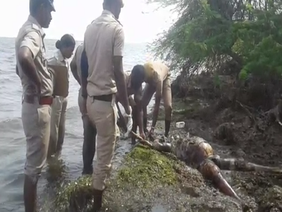 நகைகளுடன் மாயமான வங்கி ஊழியர் கடலில் பிணமாக மீட்பு - கொலையா? அதிர்ச்சி பின்னணி!