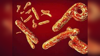 कांगो में इबोला से 1000 लोगों की मौत