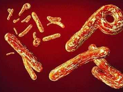 कांगो में इबोला से 1000 लोगों की मौत