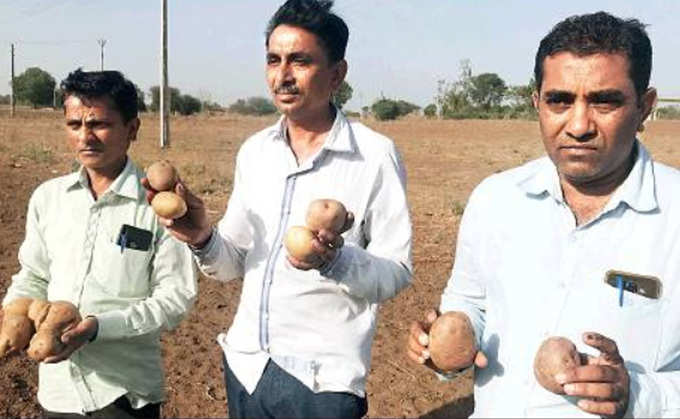 potato-farmers