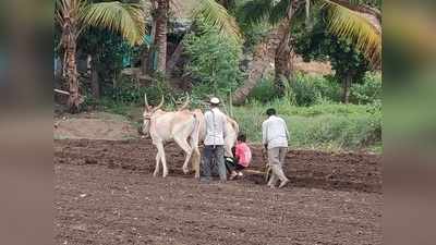 पावणेसात लाख हेक्टरवर खरिपाचे नियोजन