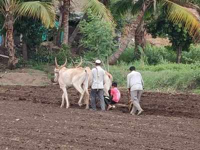 पावणेसात लाख हेक्टरवर खरिपाचे नियोजन