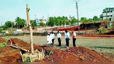 32 ಮರಗಳ ಮರುನಾಟಿಗೆ ಸಿದ್ಧತೆ