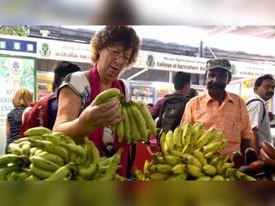 ಹಣ್ಣಾಗದ ಬಾಳೆಹಣ್ಣಿನ ಆರೋಗ್ಯ ಲಾಭಗಳು