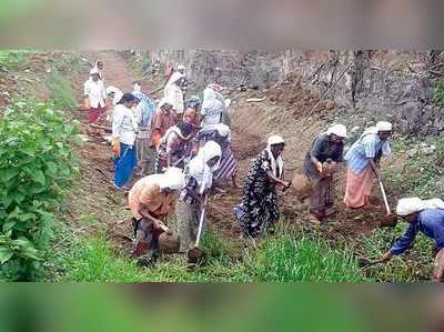 ഒരു ഇഷ്ടികയ്ക്ക് 108 രൂപ! തൊഴിലുറപ്പിൽ വൻ ക്രമക്കേടെന്ന് കേന്ദ്രസംഘം