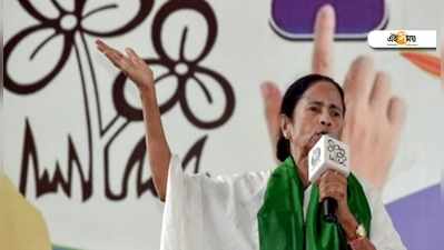 Mamata Banerjee: মোদীকে গণতন্ত্রের চড় কষাতে ইচ্ছা করে: মমতা