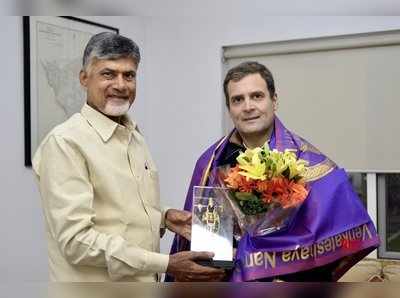 Rahul Gandhiతో చంద్రబాబు భేటీ.. కీలక అంశాలపై చర్చ!