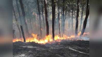 उत्तराखंड: बढ़ते पारे के साथ जंगल में आग लगने की घटनाएं बढ़ीं, 24 घंटे में 44 मामले
