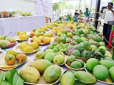 ಆರೋಗ್ಯ, ಸೌಂದರ್ಯ ವರ್ಧಕ ಬೇಸಿಗೆ ಹಣ್ಣುಗಳು