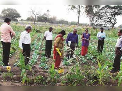 ಸಿಇಟಿ ಕೃಷಿಕ ಕೋಟಾದಡಿ ಪ್ರಾಯೋಗಿಕ ಪರೀಕ್ಷೆ: ಅಡ್ಮಿಟ್‌ ಕಾರ್ಡ್‌ ಡೌನ್‌ಲೋಡ್‌ ಮಾಡಿಕೊಳ್ಳಿ