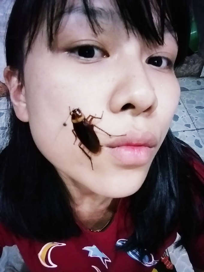 cockroach-1