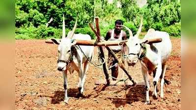 ಮುಂಗಾರು ಹಂಗಾಮಿಗೆ 1.54 ಲಕ್ಷ ಹೆ. ಬಿತ್ತನೆ ಗುರಿ