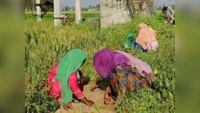 पंजाब: खेतों में शोषण और यौन उत्पीड़न झेलने को मजबूर दलित महिला मजदूर