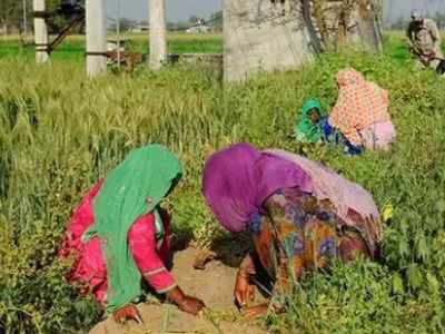 पंजाब: खेतों में शोषण और यौन उत्पीड़न झेलने को मजबूर दलित महिला मजदूर