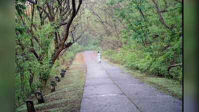 संजय गांधी राष्ट्रीय उद्यानातील पर्यटकांना विमाकवच