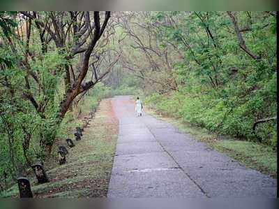 संजय गांधी राष्ट्रीय उद्यानातील पर्यटकांना विमाकवच