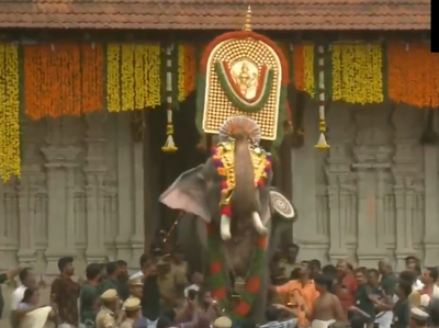 केरल: 54 वर्षीय हाथी ने की त्रिसूर पूरम महोत्‍सव की शुरुआत
