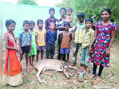 ಜಿಂಕೆ ಜೀವ ಉಳಿಸಿದ ಚಿಣ್ಣರು