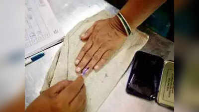 फॉरन डेलिगेशन ने लिया भारत की चुनाव प्रक्रिया का जायजा