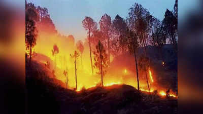 अल्‍मोड़ा और नैनीताल के जंगलों में भयानक आग, धधक रहा है उत्‍तराखंड