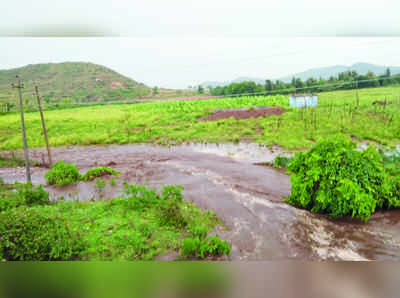 ರೈತರಲ್ಲಿ ಮಂದಹಾಸ ತಂದ ಮಳೆ