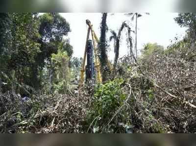 ശാന്തിവന സംരക്ഷണം സ്ഥാപിത താൽപര്യമെന്ന് കെഎസ്ഇബി; സ്റ്റേയില്ല