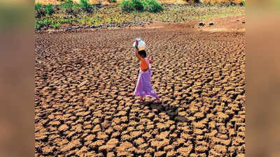 सूखे से निपटने के लिए क्या कर रही है सरकार: कोर्ट