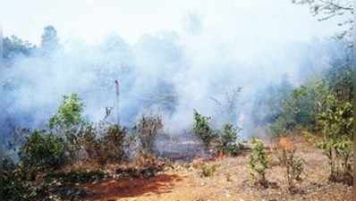 ಪಡುಬೆಳ್ಳೆ: 15 ಎಕರೆ ಪ್ರದೇಶ ಬೆಂಕಿಗಾಹುತಿ