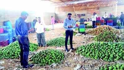 ಮಾವಿನ ಮಂಡಿಗೆ ಆರೋಗ್ಯಾಧಿಕಾರಿ  ಭೇಟಿ, ಪರಿಶೀಲನೆ