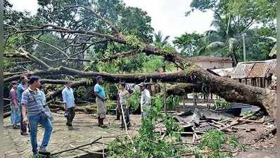 তিন মিনিটের ঝড়ে লন্ডভন্ড গ্রাম