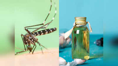 नैशनल डेंगू डे: घर पर ऐसे बनाएं मच्‍छर मारने की दवा