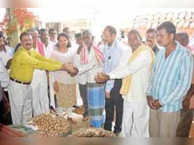 ಬಿತ್ತನೆ ಆಲೂ ಮಾರಾಟಕ್ಕೆ ಡಿಸಿ ಚಾಲನೆ