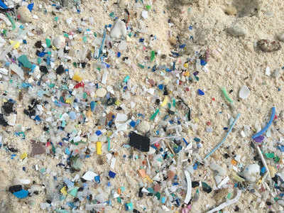 ऑस्ट्रेलिया के कोकस द्वीपों पर जमा हुए करीब 41 करोड़ प्लास्टिक टुकड़े