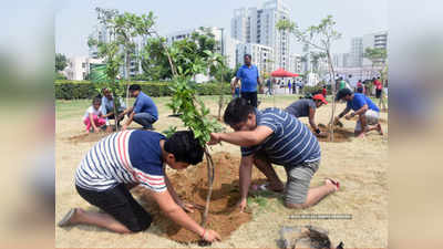 फोनी से मची तबाही के बाद व्यापक स्तर पर वृक्षारोपण शुरू करेगी ओडिशा सरकार