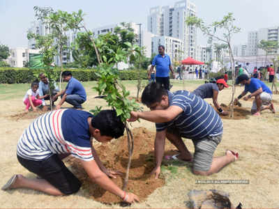 फोनी से मची तबाही के बाद व्यापक स्तर पर वृक्षारोपण शुरू करेगी ओडिशा सरकार