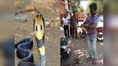 मुंबई: कोबरा पकड़ने गया था 20 साल का युवक, डसने से हुई मौत