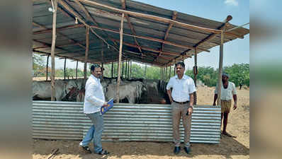 ಮೇವು ಬ್ಯಾಂಕ್‌ ಪರಿಶೀಲಿಸಿದ ಡಿಸಿ