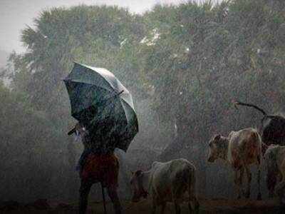 Tamil Nadu Rain: தமிழ்நாடு வானிலை நிலவரம்- எங்கெங்கு மழை பெய்யும்?