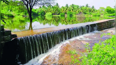 ಬೇಸಿಗೆಯಲ್ಲೂ ಜಲಧಾರೆ: ಪ್ರವಾಸಿಗರು ಫಿದಾ