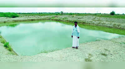 ಸಾವಯವ ಕೃಷಿ ಸಿರಿ