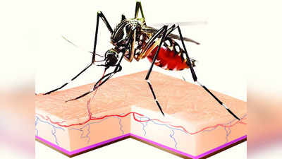 दिल्ली में गर्मी में भी आने लगे डेंगू के मामले