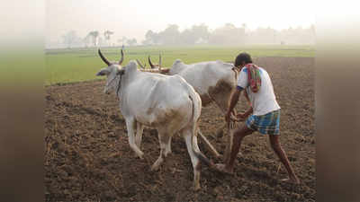 सरसकट कर्जमाफी विचाराधीन