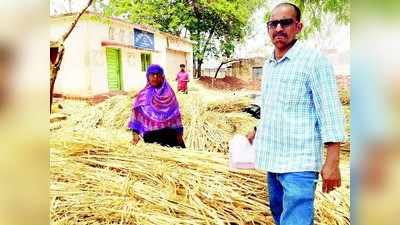 13 ಮೇವು ಕೇಂದ್ರಗಳ ಸ್ಥಾಪನೆ, ಇನ್ನೂ 3 ಕೇಂದ್ರ ಶೀಘ್ರ ಆರಂಭ