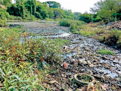 ಮಲಿನಗೊಳ್ಳುತ್ತಿದ್ದಾಳೆ ಕುಮದ್ವತಿ