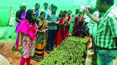 ಗಿಡ ಬೆಳೆಸಲು ಸ್ವಸಹಾಯ ಸಂಘಕ್ಕೆ ಅವಕಾಶ