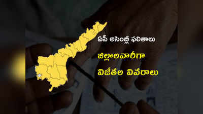 AP Assembly Winners 2019 List: ఏపీ అసెంబ్లీ ఫలితాలు.. జిల్లాలవారీగా విజేతల వివరాలు