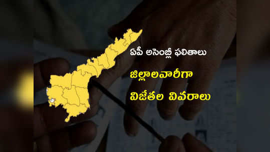 AP Assembly Winners 2019 List: ఏపీ అసెంబ్లీ ఫలితాలు.. జిల్లాలవారీగా విజేతల వివరాలు 