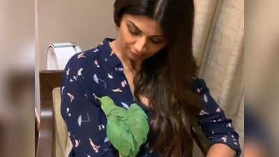 Shilpa Shetty ने पोस्ट किया तोते के साथ विडियो, नाम रखा है पॉपी शेट्टी कुंद्रा
